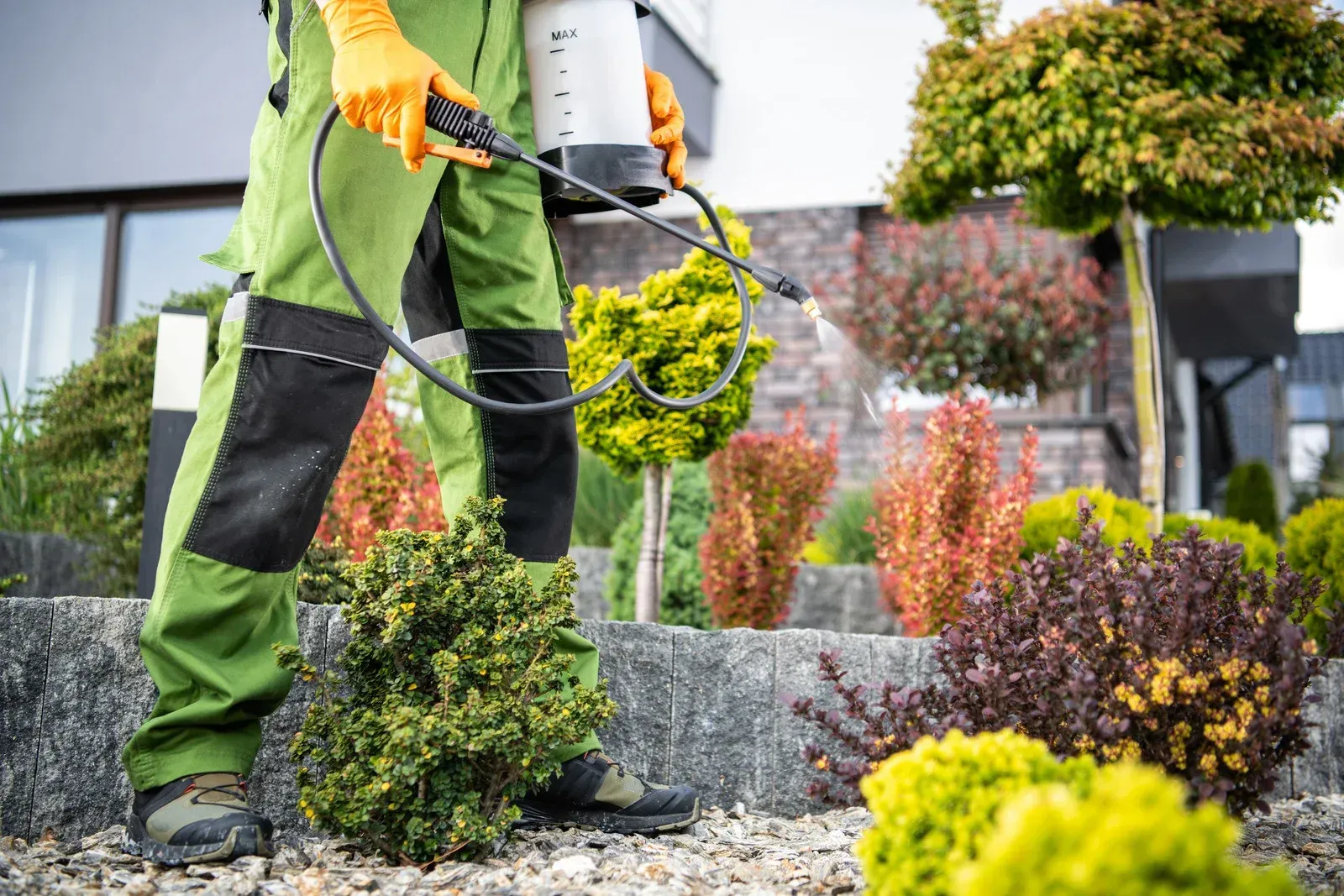 Gardener spraying shrubs in a landscaped garden with a handheld sprayer