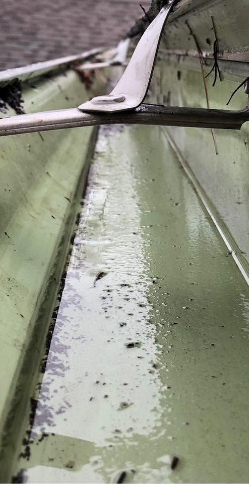 Close-up of a green metal roof gutter with dirt and debris, and a broken branch across it
