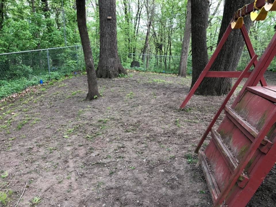 Wooded backyard with bare dirt ground and a red wooden swing set on the right