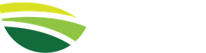 Abstract green and yellow swoosh logo on a white background