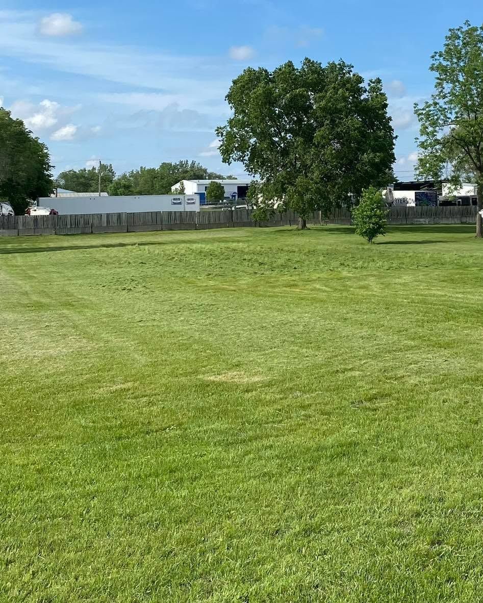 Grassy field with trees and a small building under a blue sky.