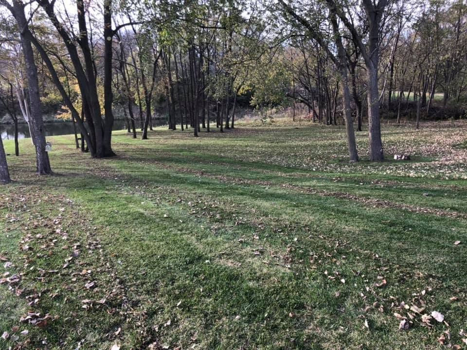 Quiet wooded park with leaf-covered grass and bare trees casting long shadows