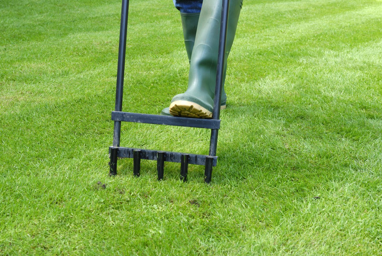 Person using a garden aerator on a grassy lawn
