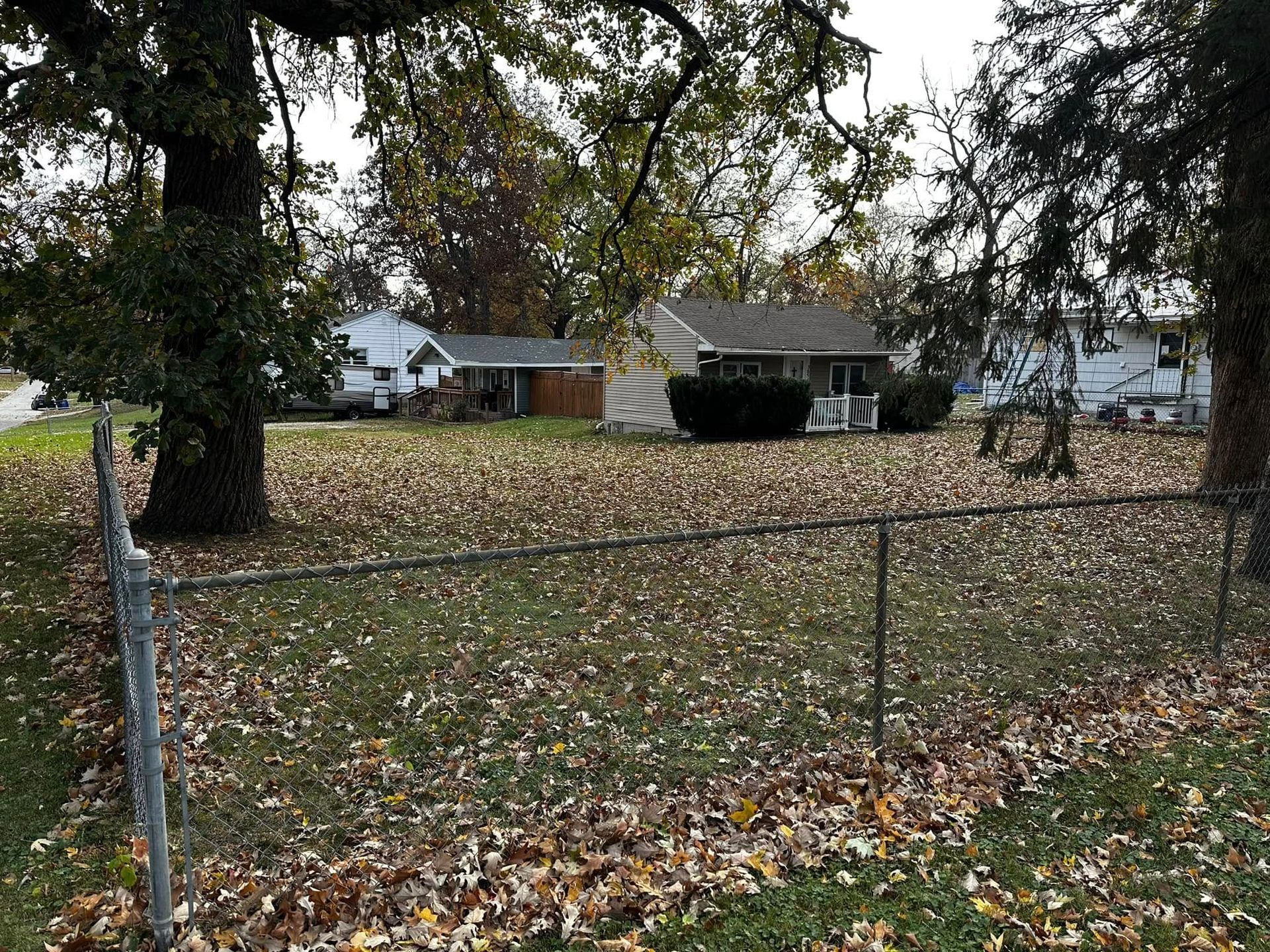 Leaf-covered fenced yard with a large tree and houses in the background
