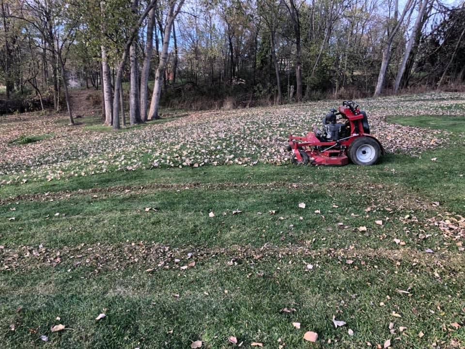 Person mowing a leaf-covered lawn on a red riding mower near woods