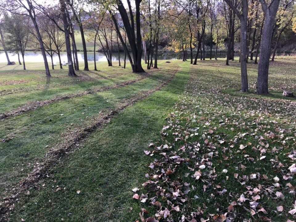 Wooded park with grassy tire tracks and fallen leaves under trees in autumn.