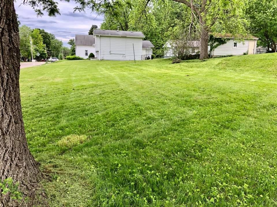 Grassy suburban yard with a white house, trees, and a large tree trunk in the foreground