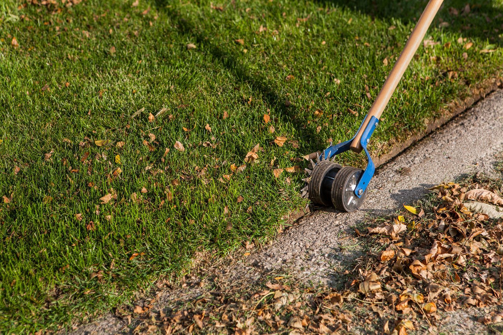 Person using a blue edger along a grass and gravel driveway, trimming the lawn edge