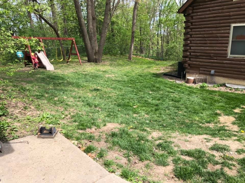 Backyard with log cabin, grassy yard, trees, and a red swing set with slide