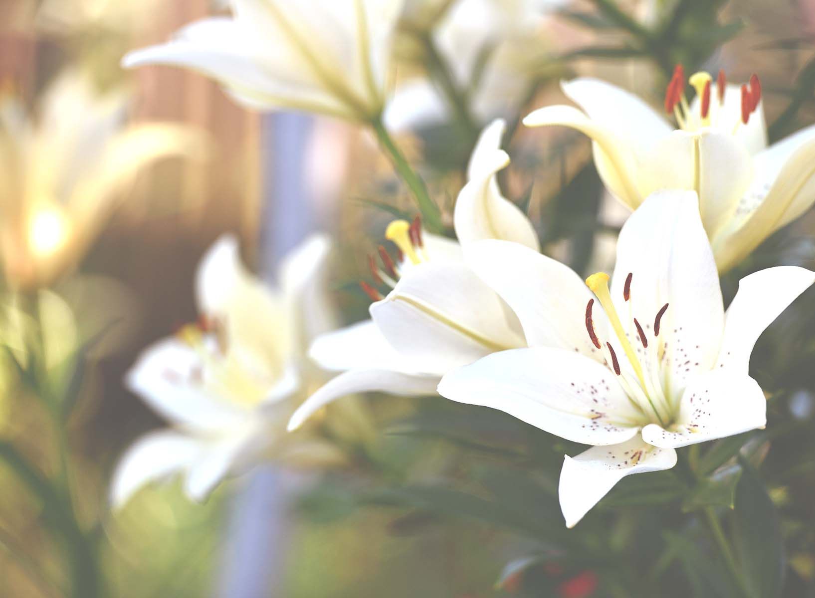 Home | Brennan Mathena Funeral Home | Topeka, KS