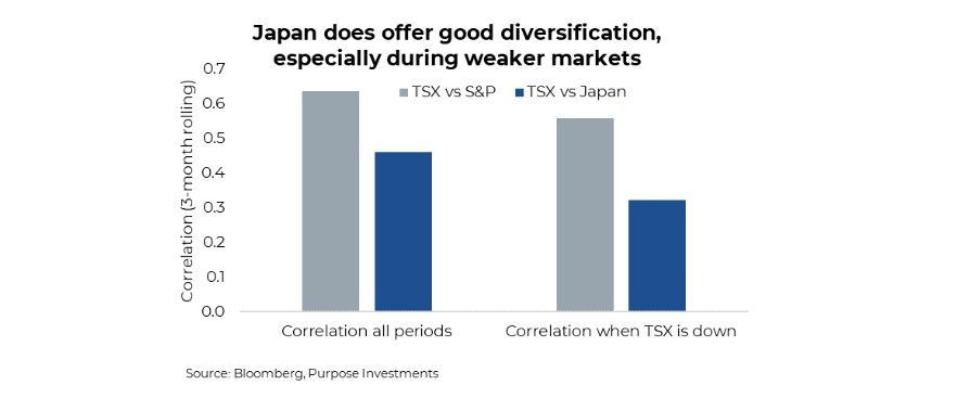 Japan diversification