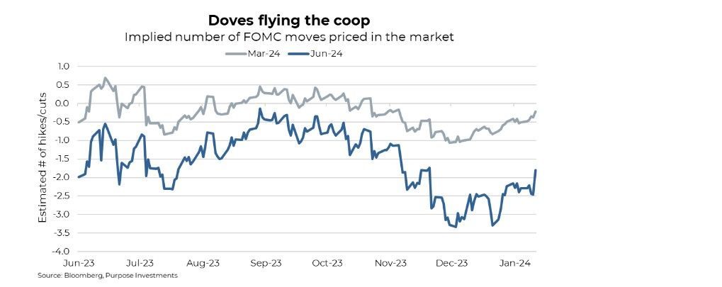 Doves flying the coop