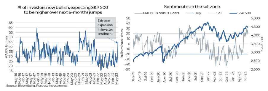 Investor Sentiment