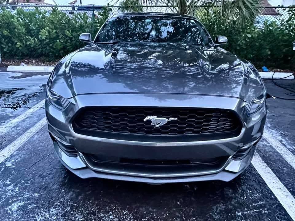 Gray Ford Mustang parked in a lot, front view with trees in the background