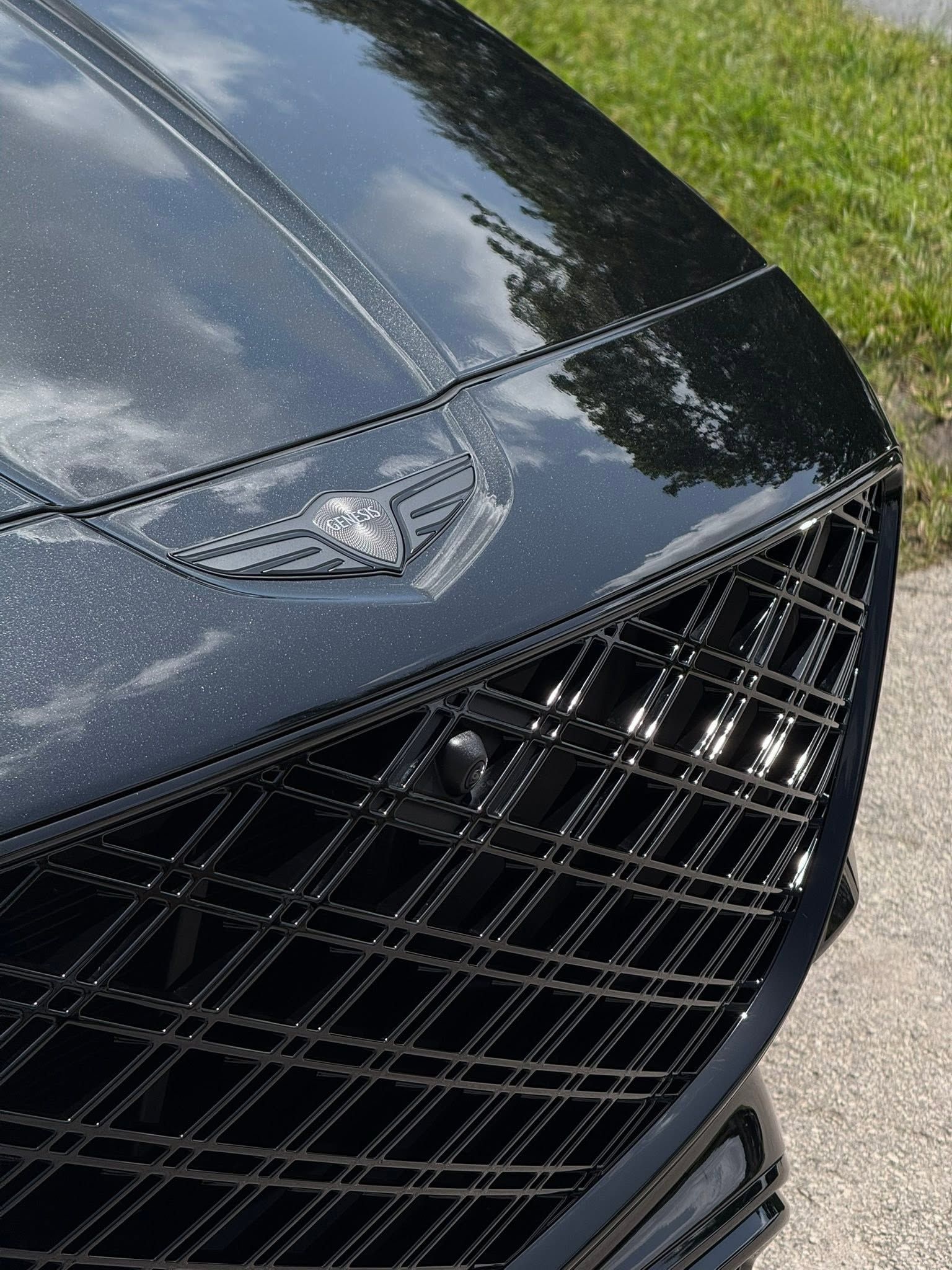 Close-up of a black sports car hood and front grille with a glossy finish and emblem