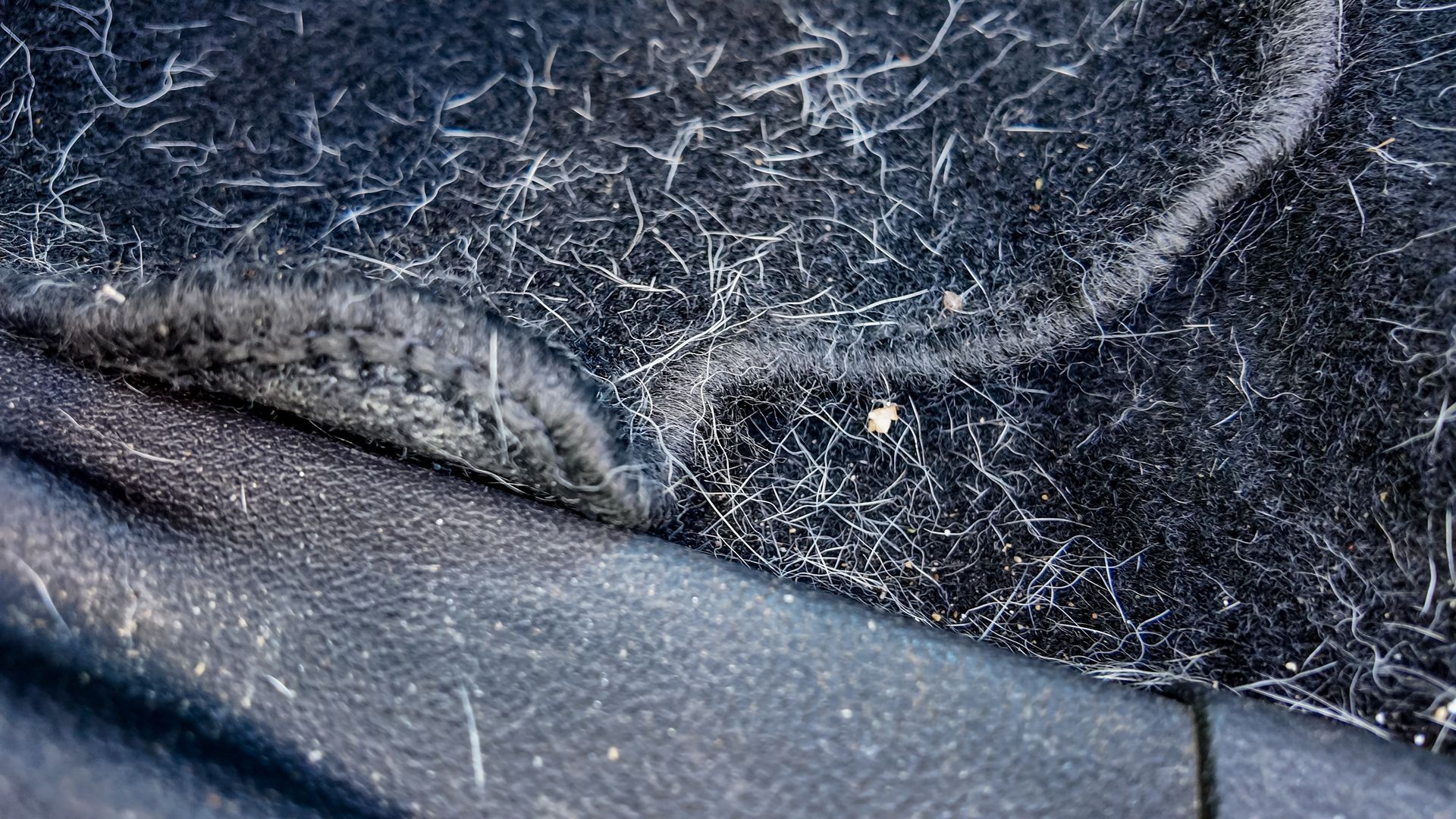 Close-up of a dusty black fabric seat with visible pet hair and lint, plus a few light crumbs