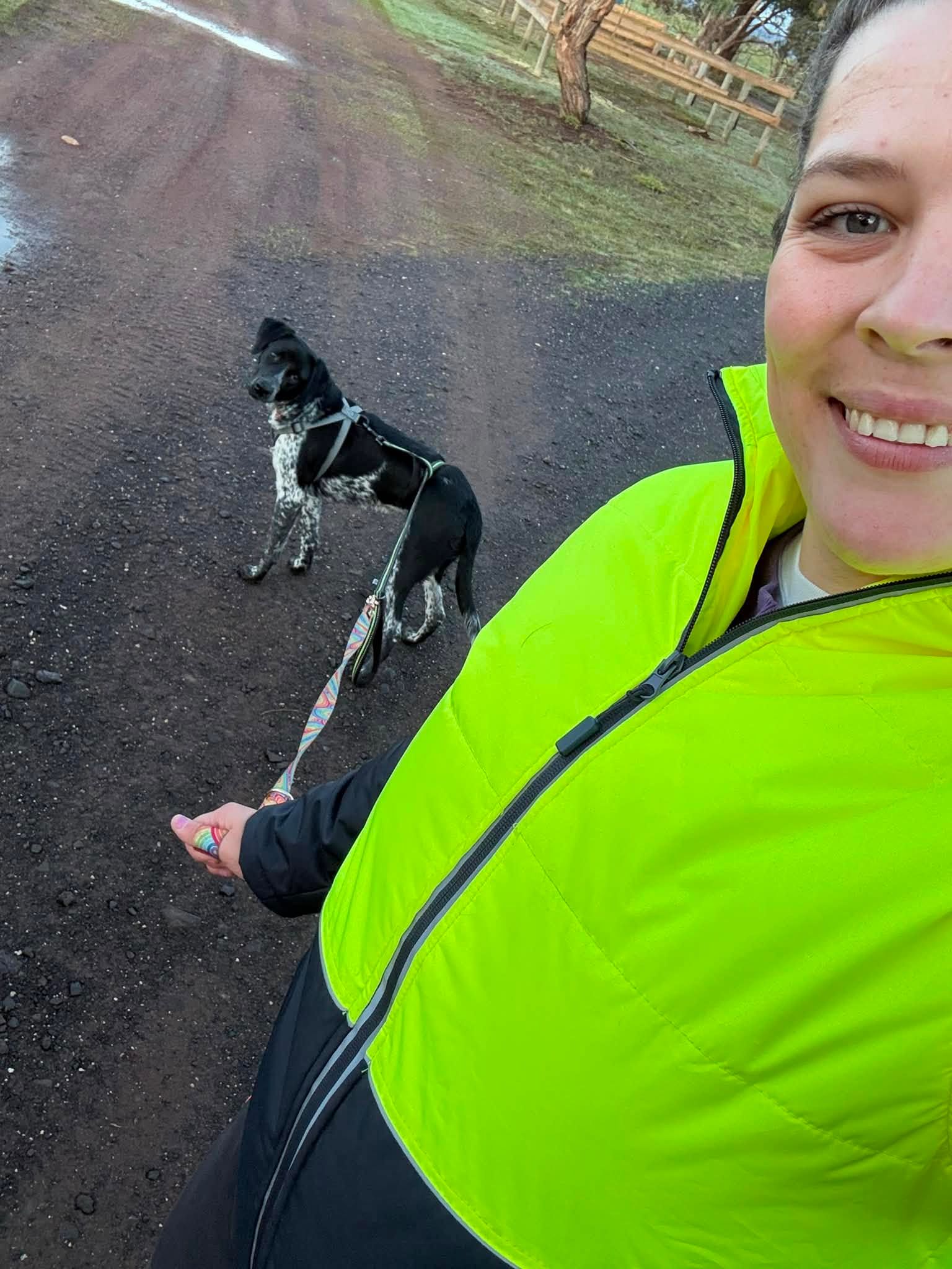 Sam, morning walk with the dog