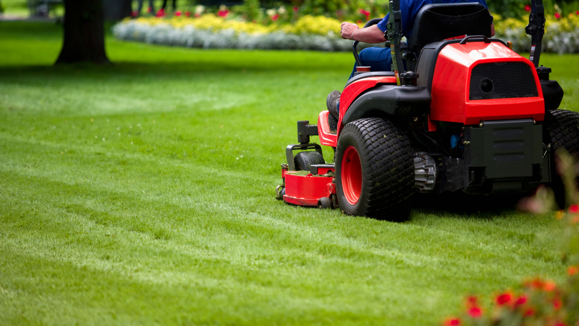 Red riding lawnmower mowing a green lawn, creating striped pattern.