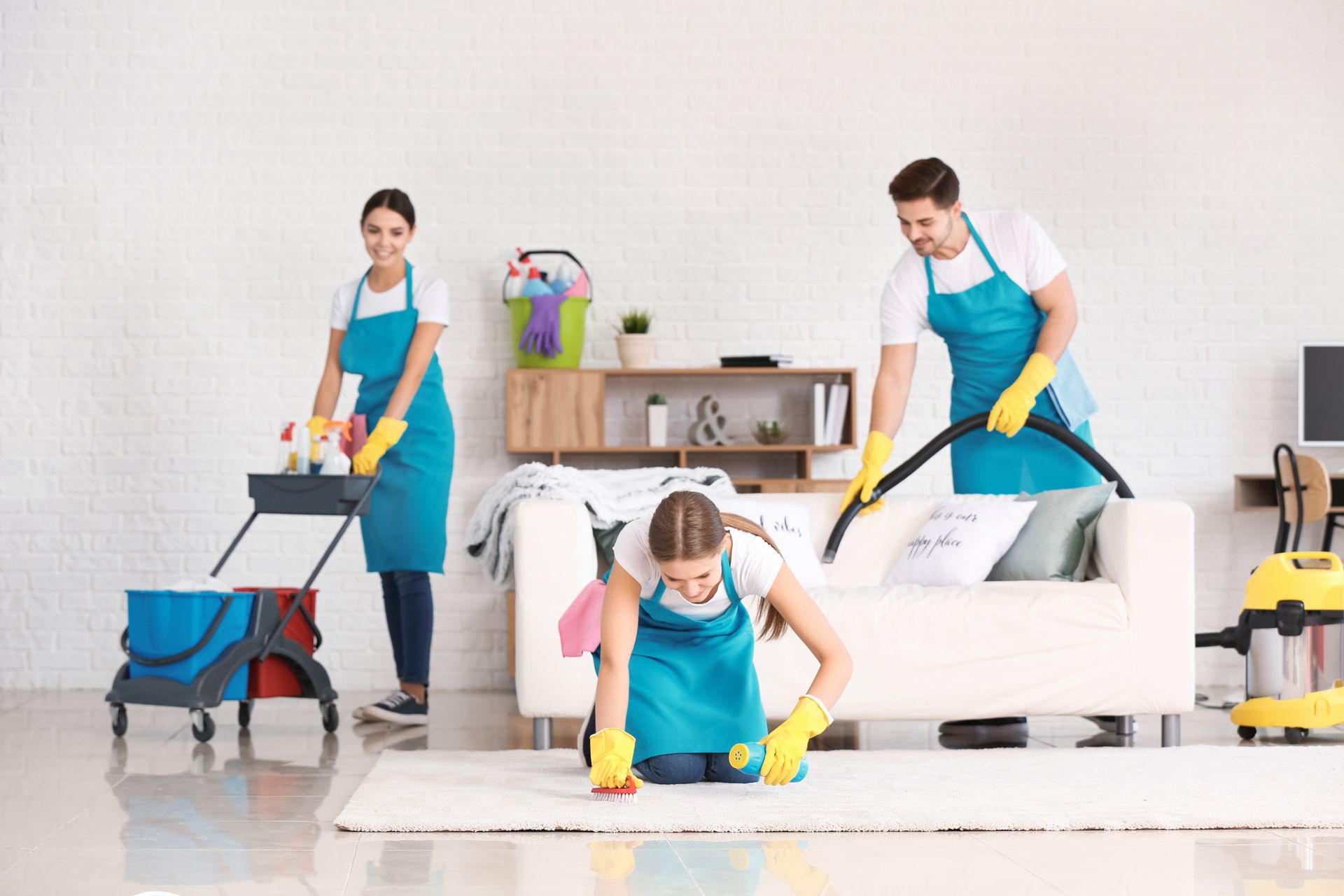 Carpet and Upholstery Cleaning