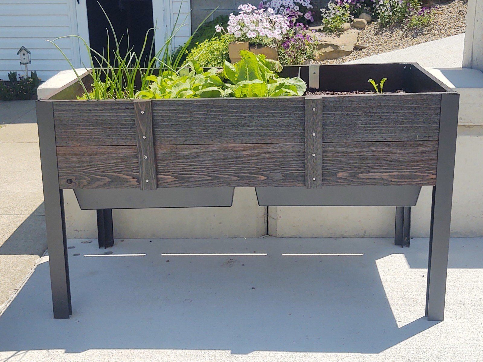 Raised garden bed with dark wood planks, metal frame, and various plants.