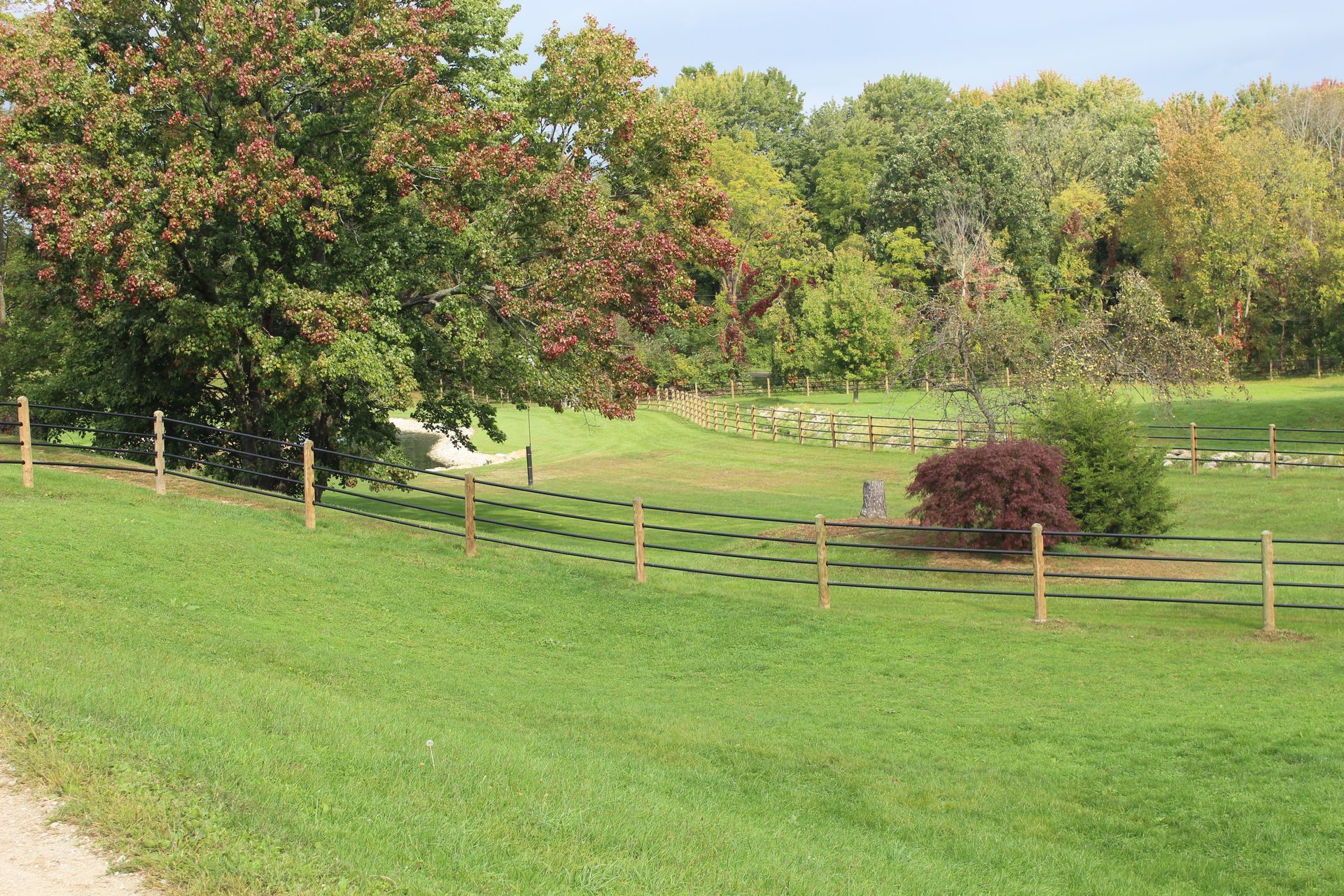 Lush green field with a wooden fence. Trees and foliage in the background under a blue sky.