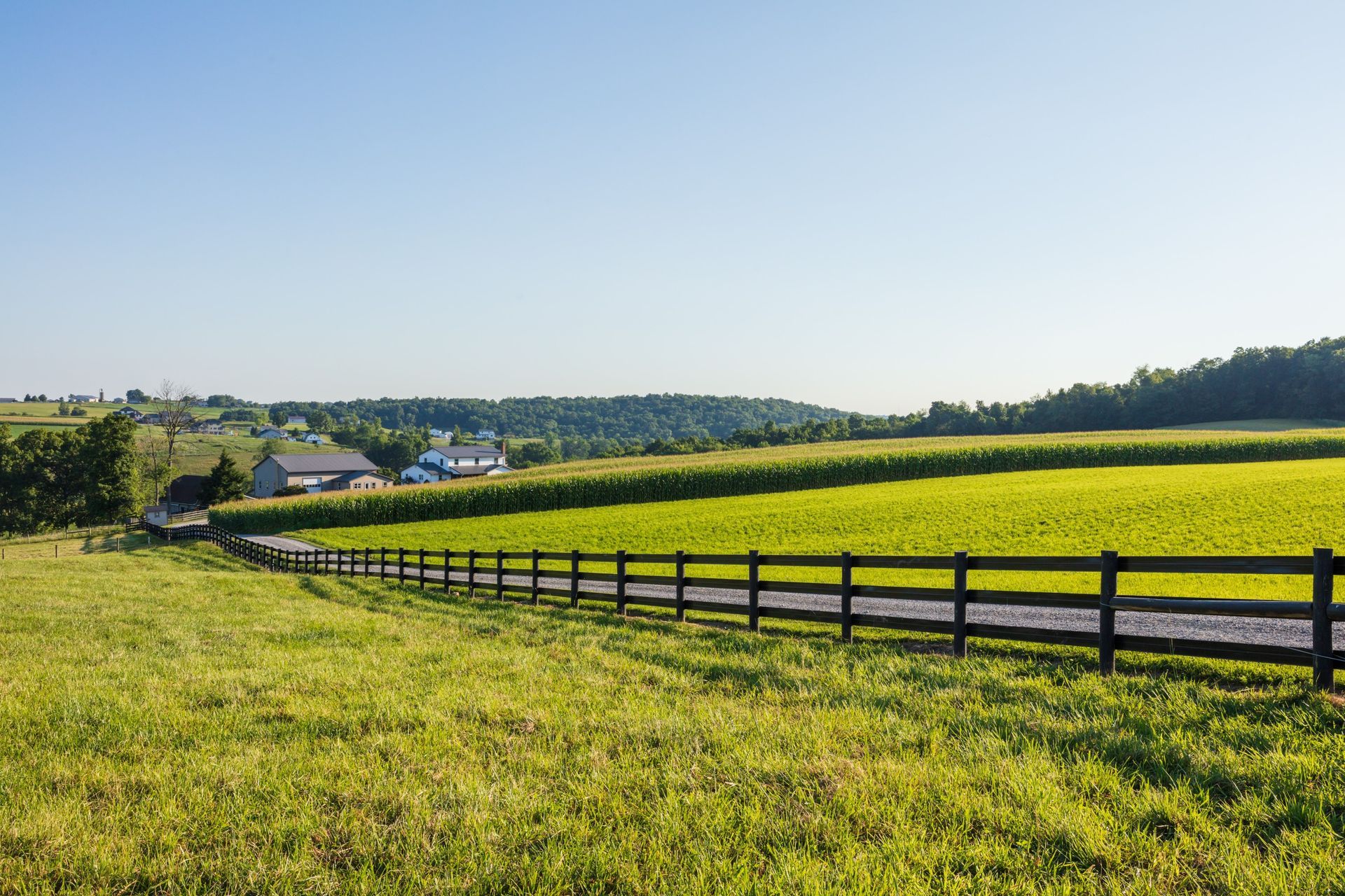 Rolling green farmland with a black wooden fence bordering a field of corn, buildings and trees in the distance.