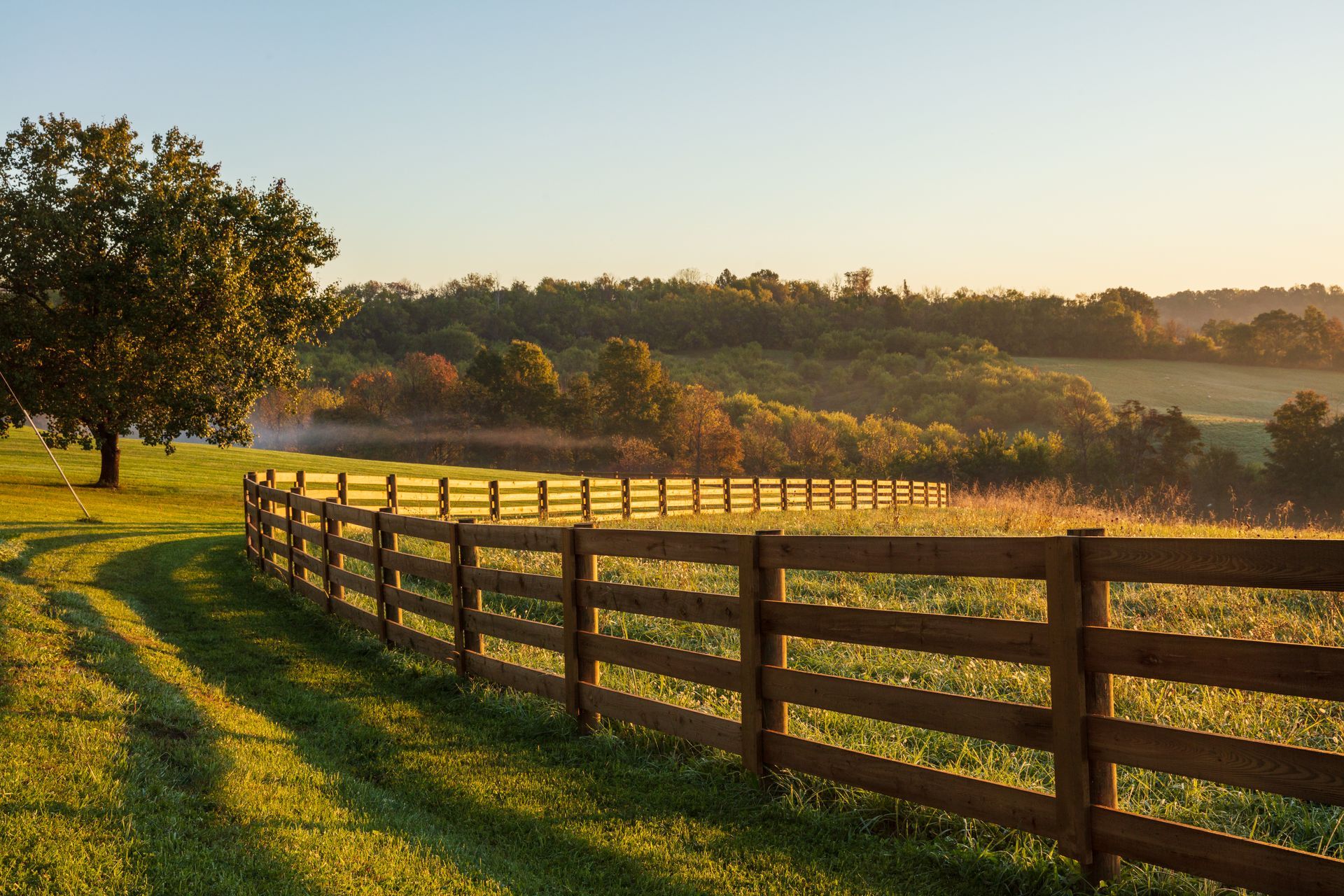 Wooden fence curves across a sunlit grassy field with a tree. Hilly, forested background at sunrise.