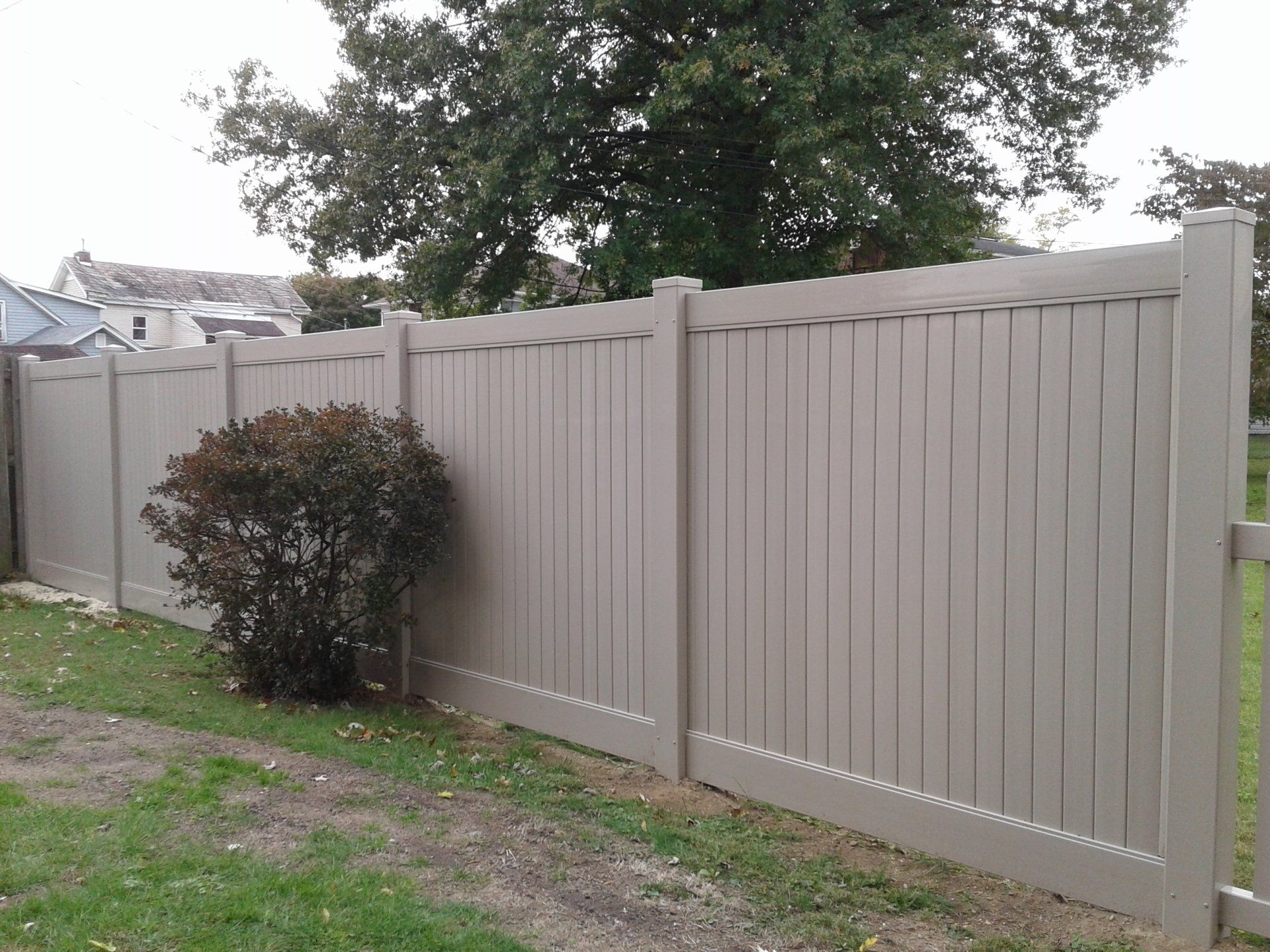 Beige vinyl fence in a yard with a small bush.