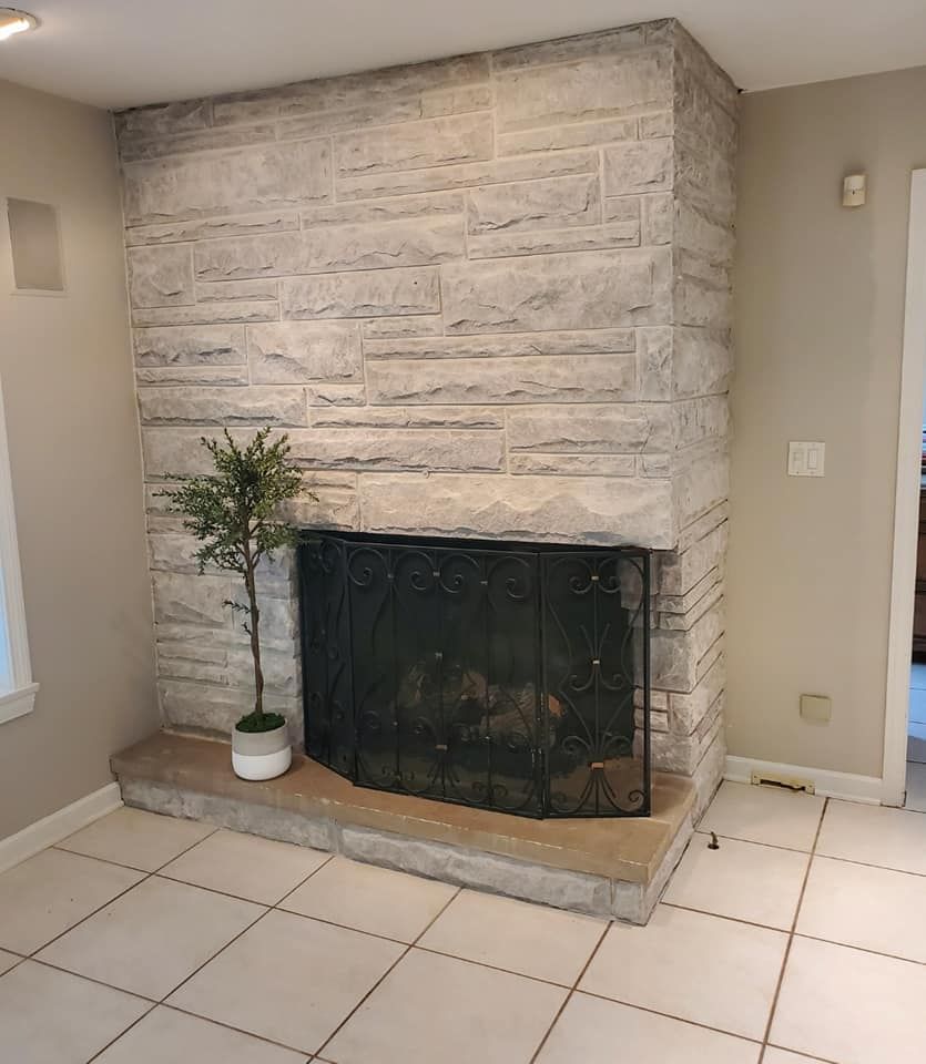 A fireplace with a plant in front of it in a living room.