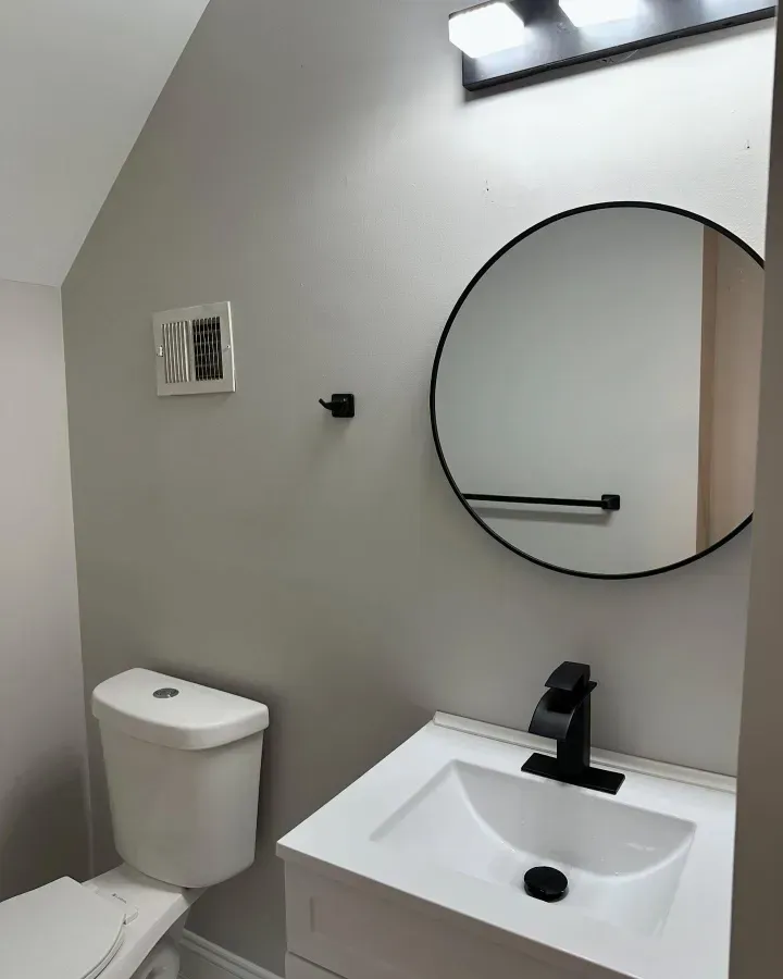Small white bathroom with toilet, sink, round mirror, and skylight on sloped ceiling.