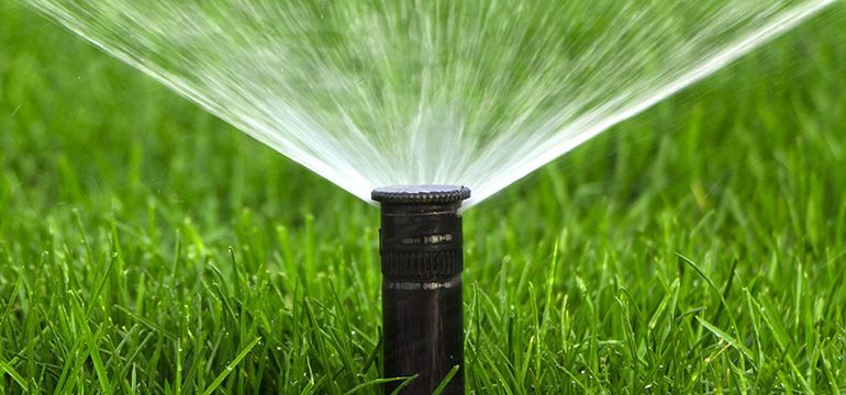 A lawn sprinkler spraying water over green grass.