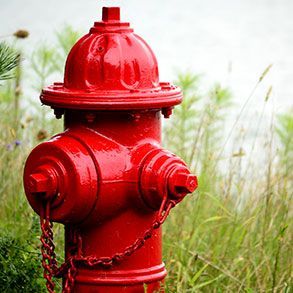 Red fire hydrant stands in tall green grass.