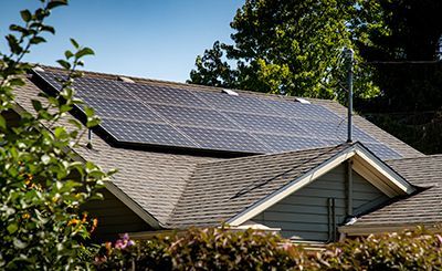 Solar panels on a residential roof, with a tree in the background.
