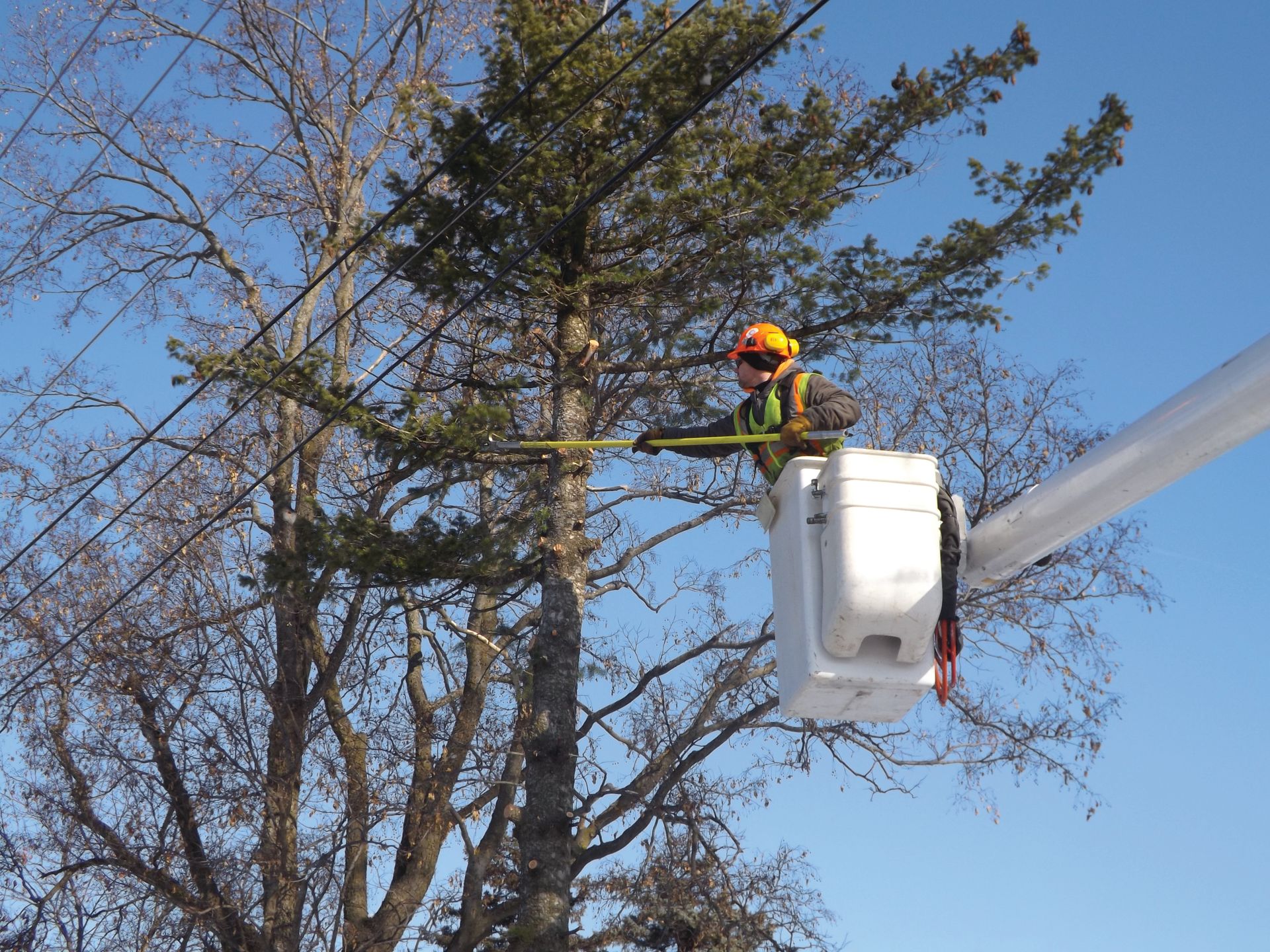 A utility worker trims a tree branch near power lines from a bucket lift on a clear, sunny day.
