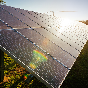 Solar panels in a field, angled toward the sun, reflecting sunlight.