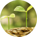 Green sprouts emerging from a pile of gold coins, symbolizing financial growth.