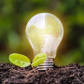 Lightbulb with glowing light, planted in soil with a small green plant growing near it.