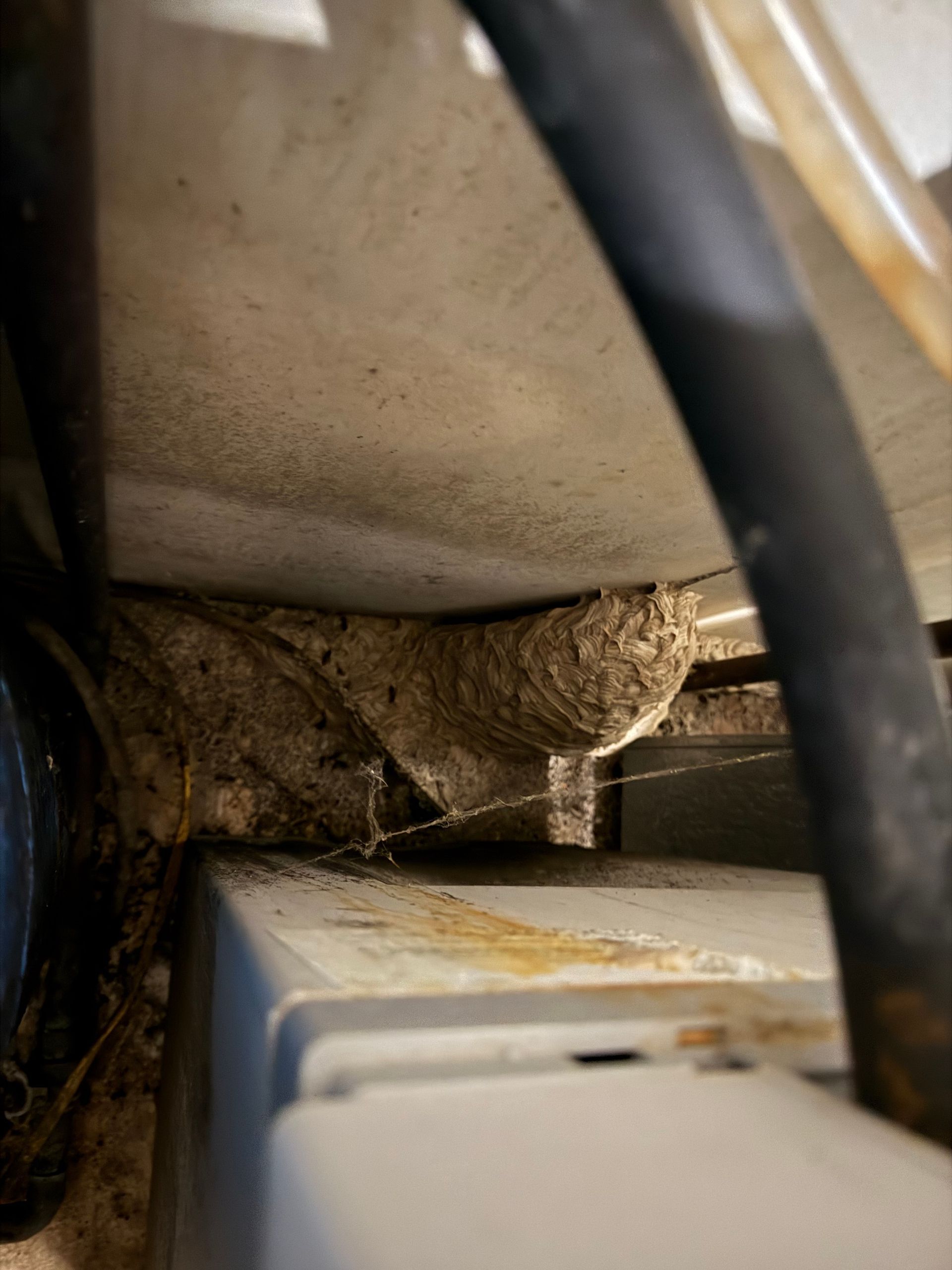 Wasp nest built between a metal appliance and a ceiling. Light brown nest, dark tube, and dusty surfaces.
