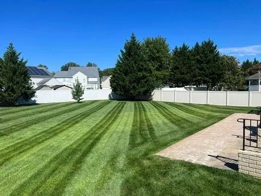 Lawn mowed with stripes, backyard scene under a blue sky, near a white fence and a stone patio.