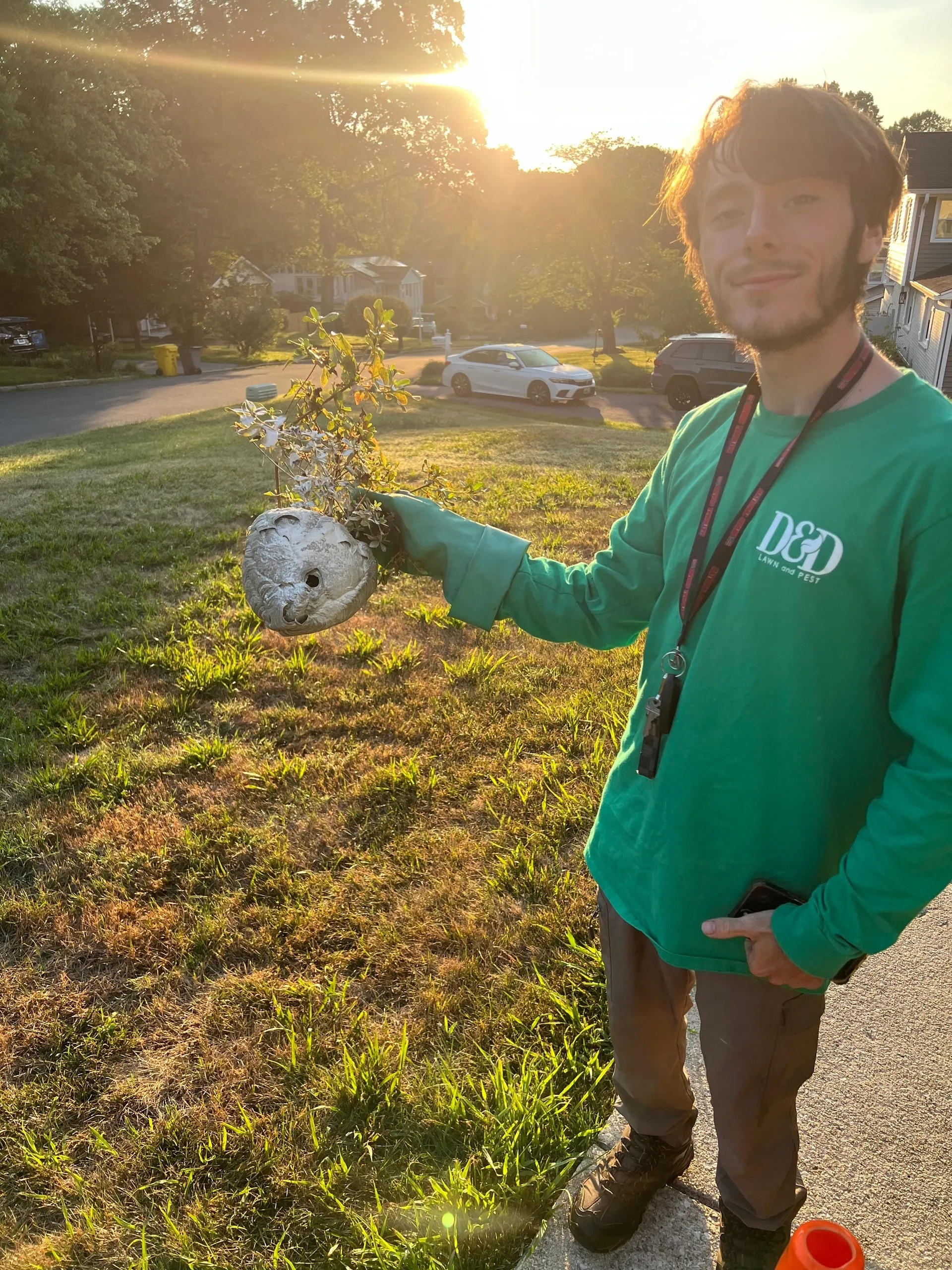 Man in green shirt holding a wasp nest outside on a sunny day.