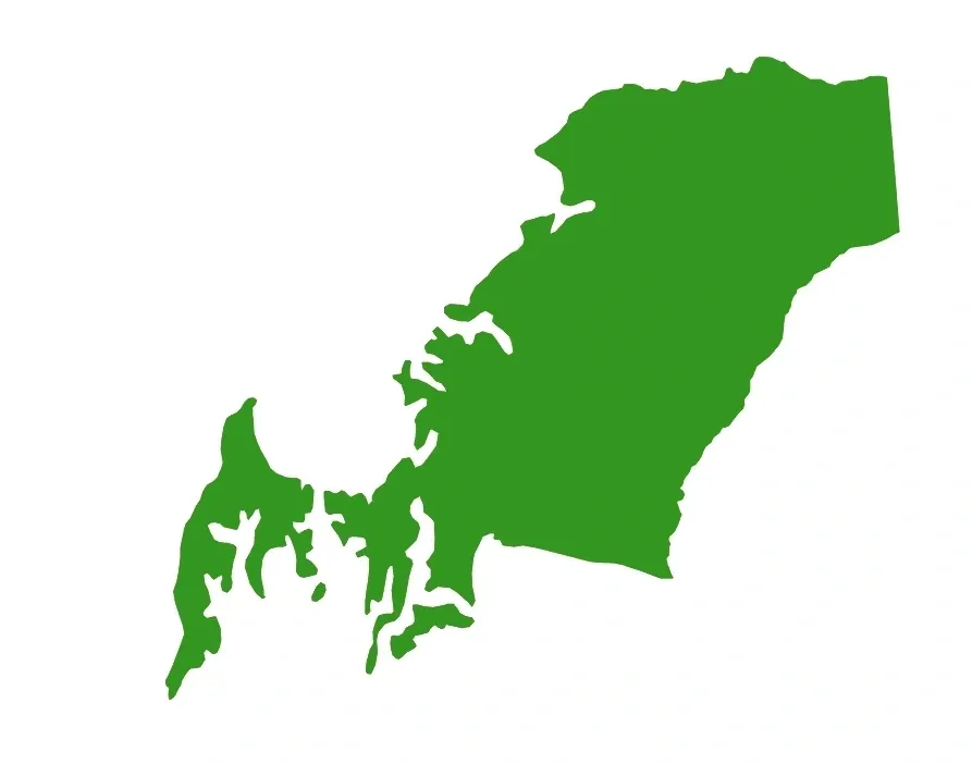 Green silhouette of the Brazilian state of Pará.
