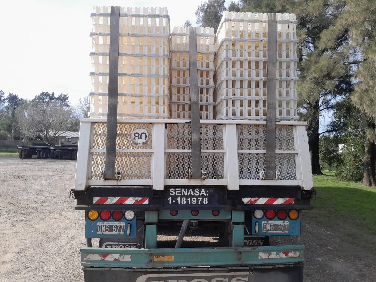 Transporte de aves vivas seguro y puntual en Entre Ríos