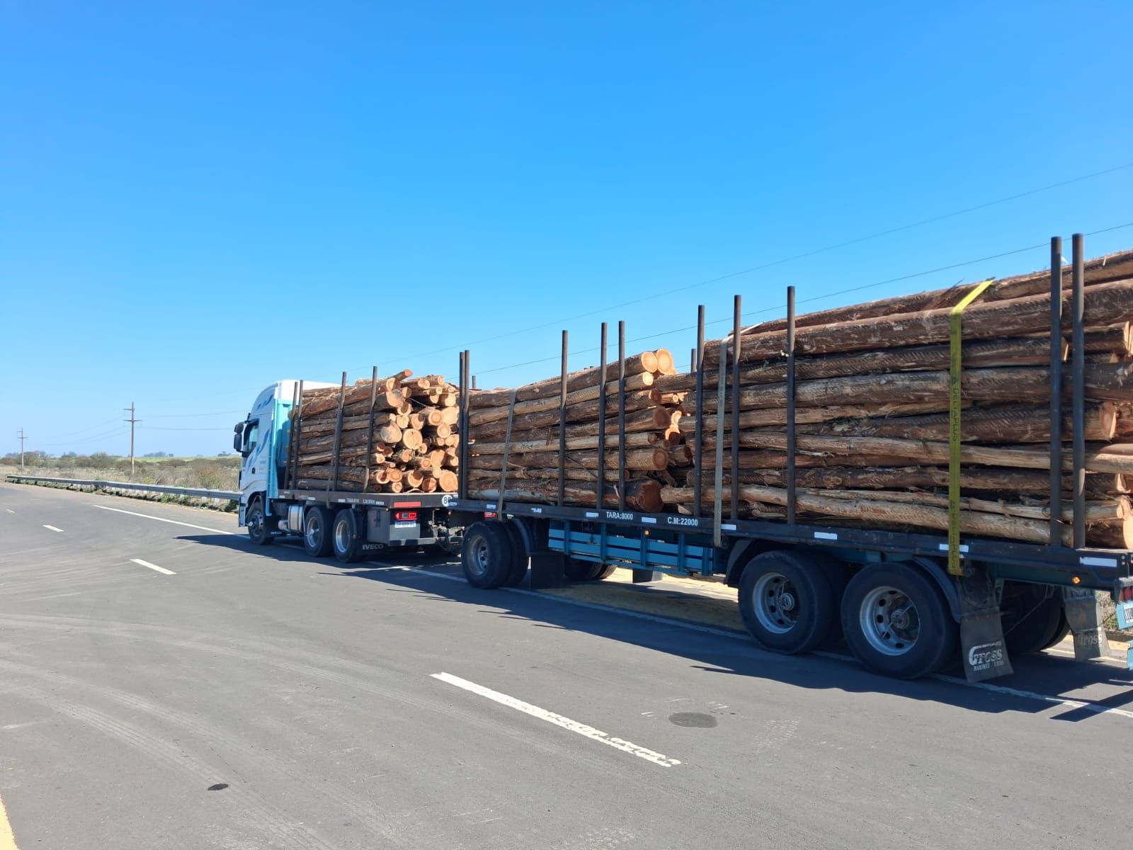 Un camión maderero gris cargado de troncos apilados circula por una carretera bajo un cielo azul.
