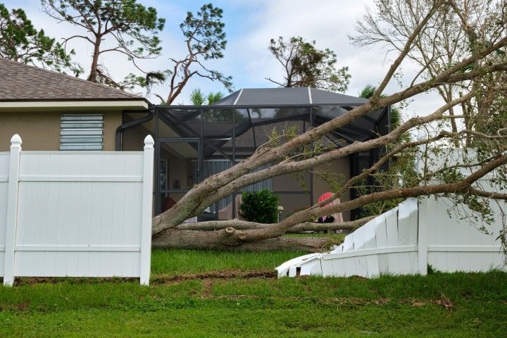 Fallen tree crushing a white fence in a suburban yard after storm damage