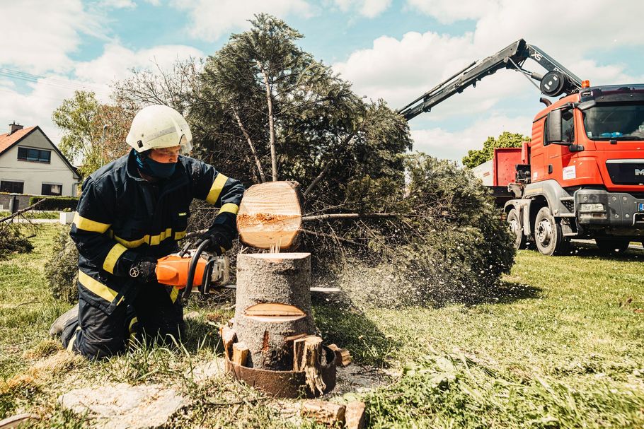 Tree worker cutting a stump with a chainsaw beside a red crane truck on a grassy roadside