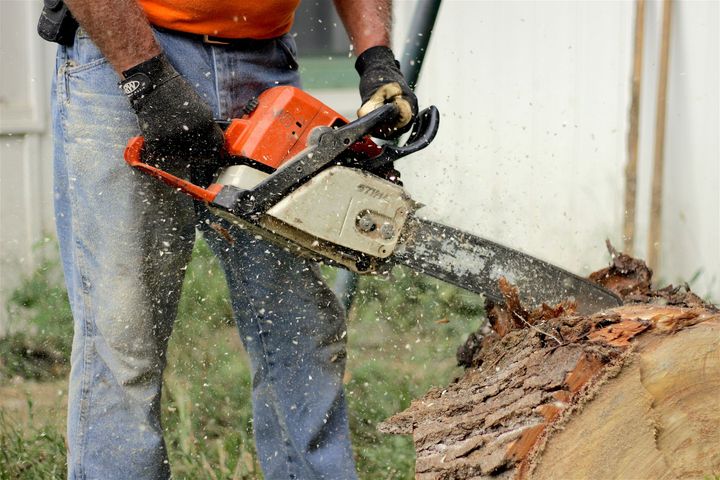 Worker using a chainsaw to cut a log, with wood chips flying outdoors