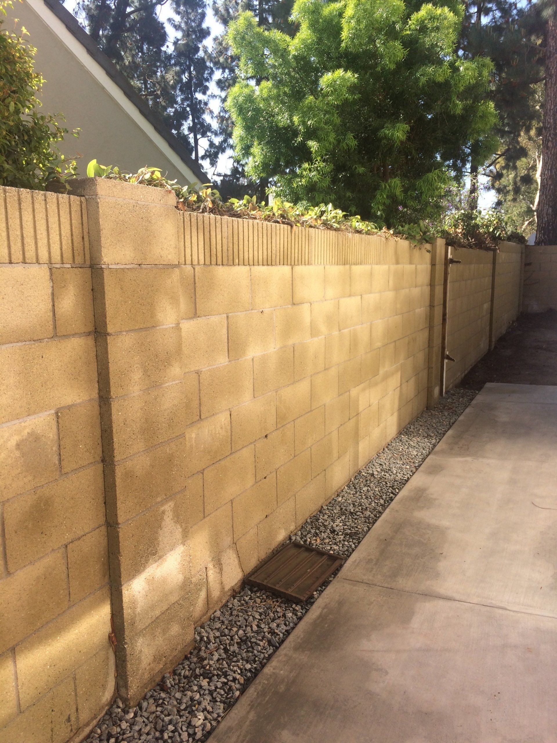 Residential After removing Ivy