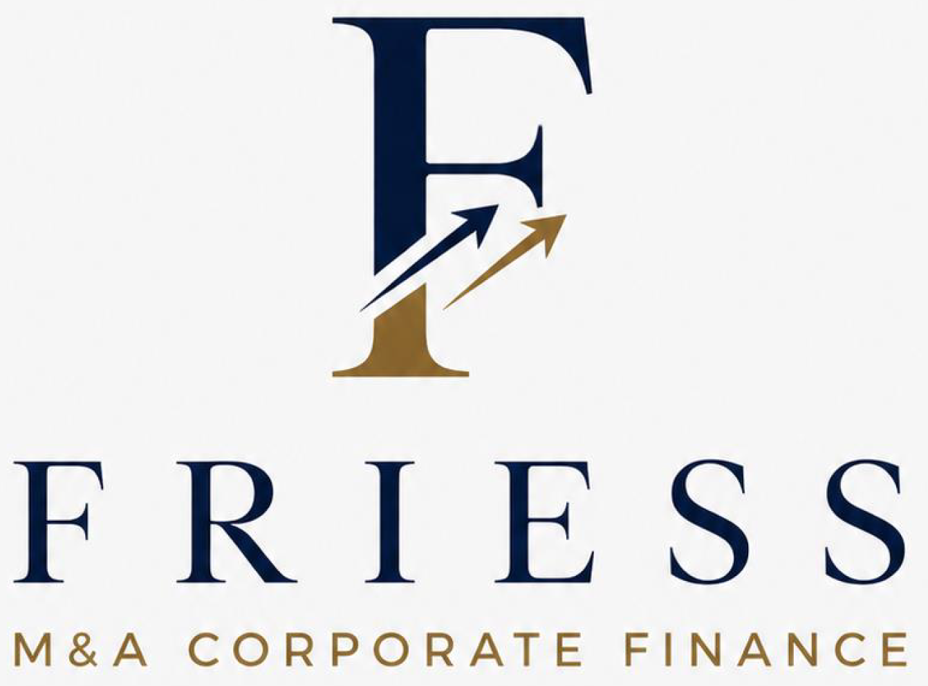 Friess M&A Corporate Finance GmbH