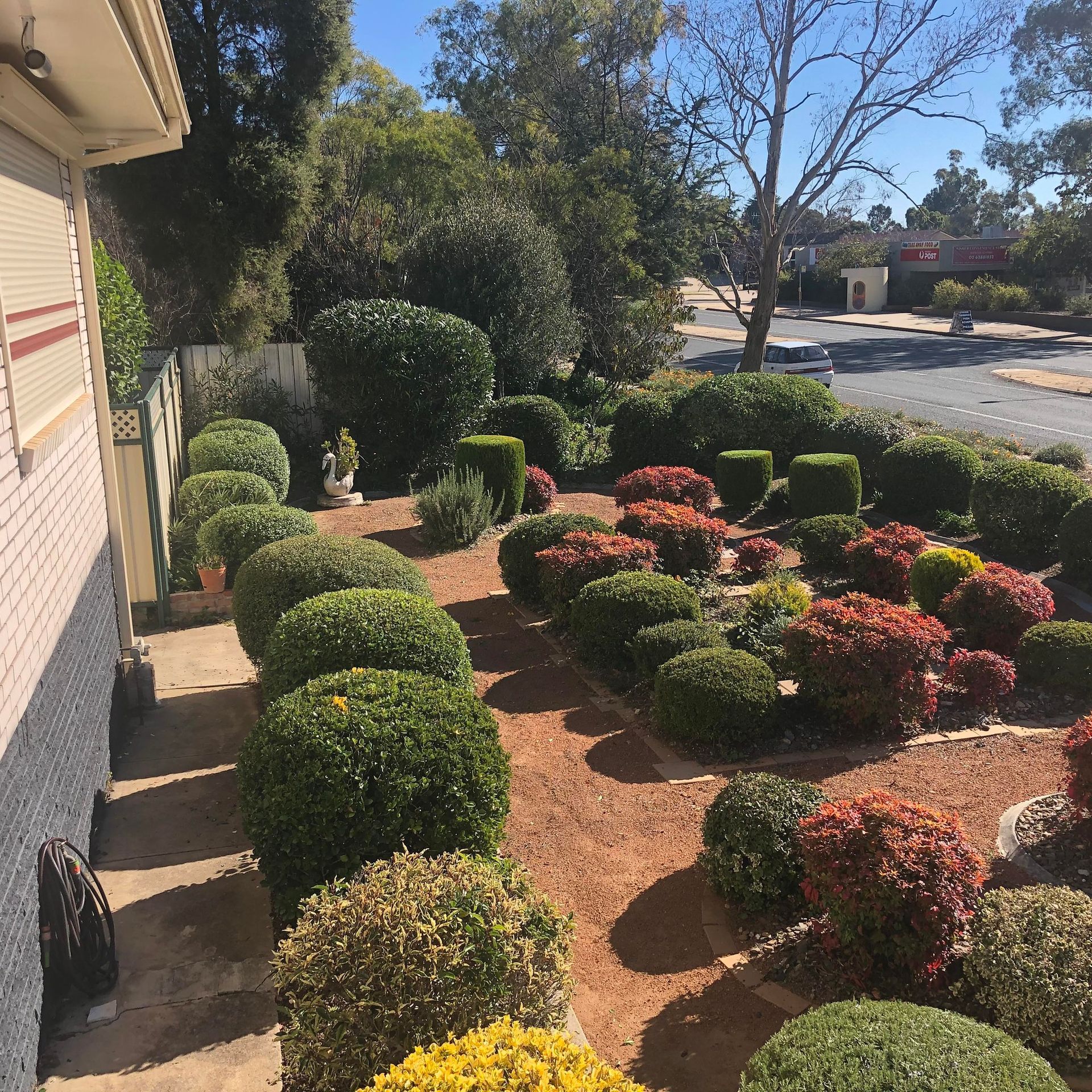 A garden with lots of bushes and flowers in front of a house