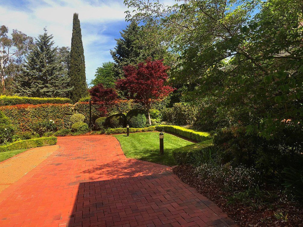 A brick driveway leading to a garden with trees and bushes